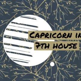 12th house gemini meaning 12th house gemini meaning