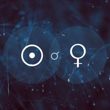 Moon Sextile Venus Natal and Transit: Enjoyable Encounters