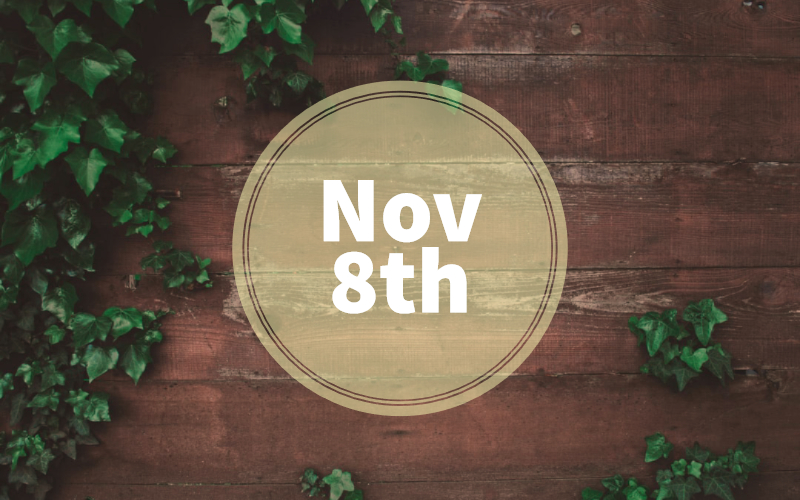 November 8th Zodiac — Scorpio Traits, Love Life, Career & More