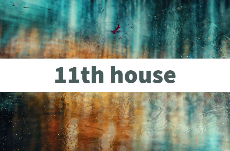 Eleventh house