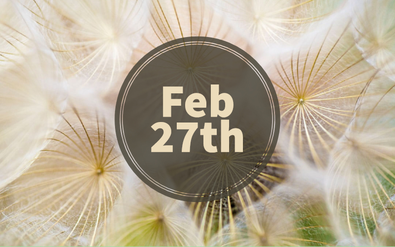 February 27th Zodiac — Pisces Traits, Love Life, Career & More