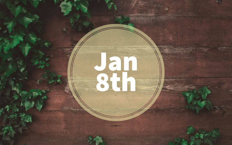 January 8th Zodiac — Capricorn Traits, Love Life, Career & More