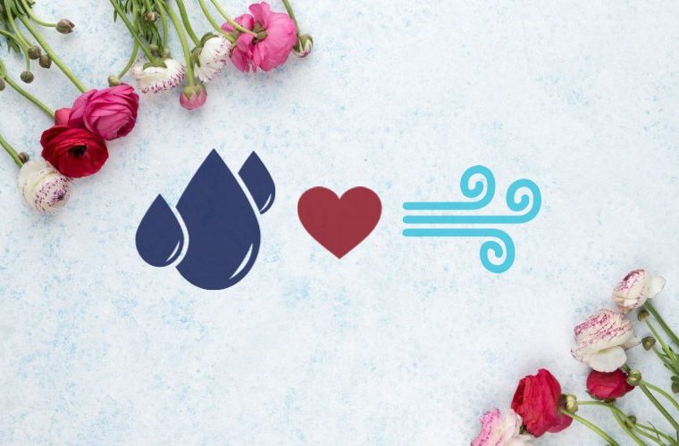 Love compatibility between water and air signs