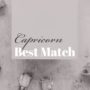 Capricorn Best Match