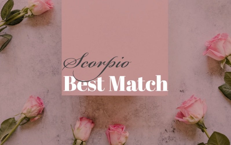 Scorpio Best Match Who is The Right Person for You?