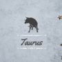 Taurus Strengths