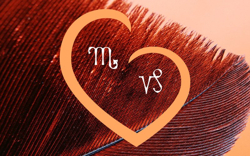 Scorpio And Capricorn Compatibility In Love Life A Steady Relationship Scorpio And Capricorn Compatibility In Love Life A Steady Relationship